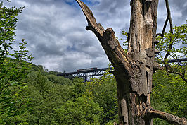Bernhard Saalfeld - DSC03133 -1